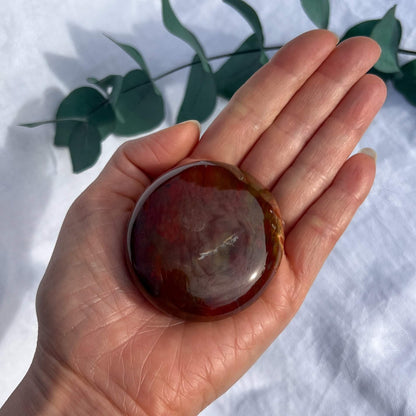 Crystal Palmstone - Fossil Wood J