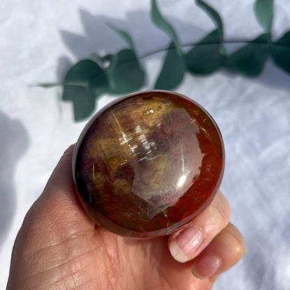 Crystal Palmstone - Fossil Wood J