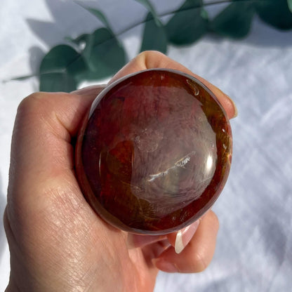 Crystal Palmstone - Fossil Wood J