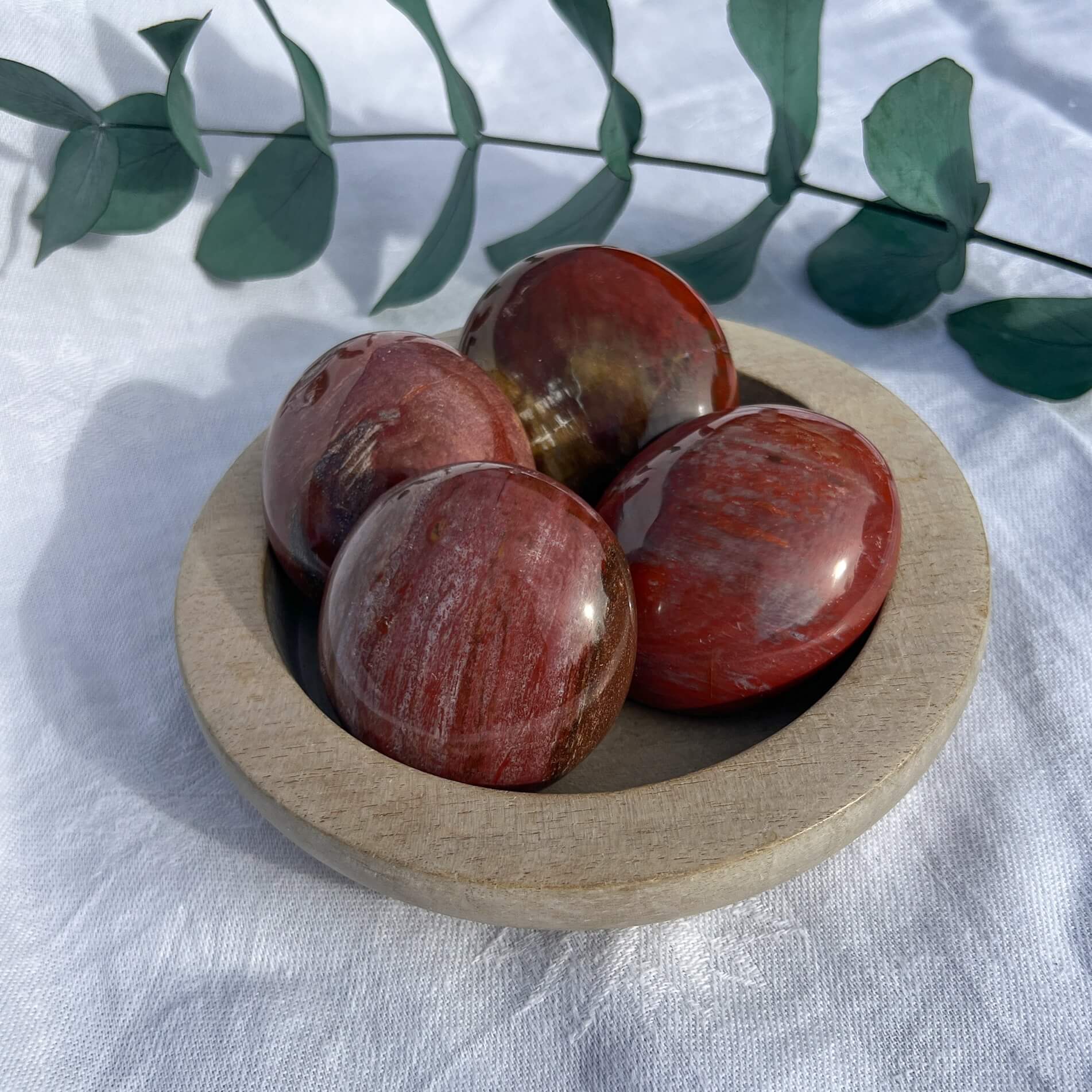 Crystal Palmstone - Fossil Wood G