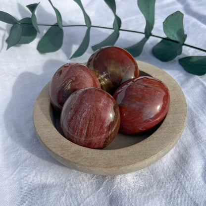 Crystal Palmstone - Fossil Wood I