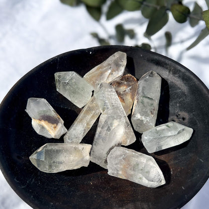 Garden Quartz Points - Large