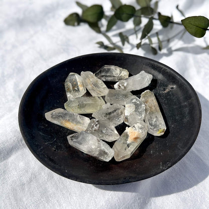 Garden Quartz Points - Medium