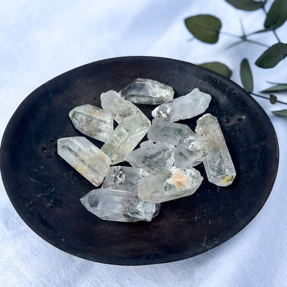 Garden Quartz Points - Medium