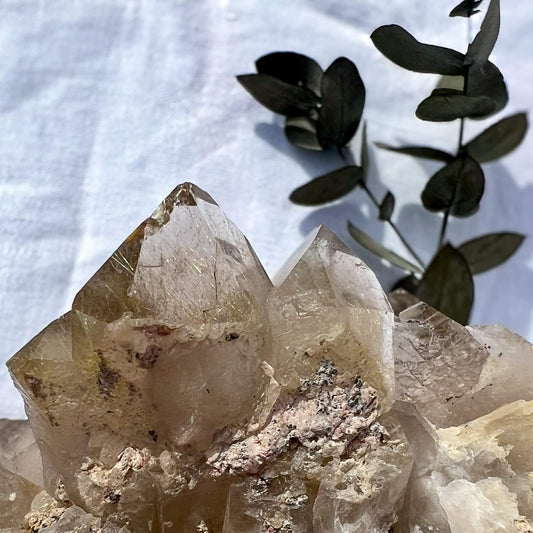 Golden Rutile Quartz Cluster