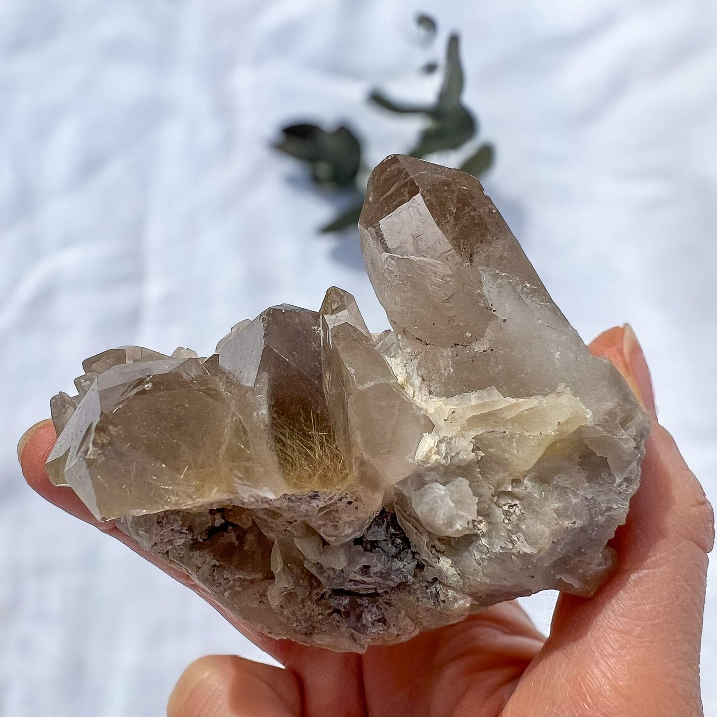 Golden Rutile Quartz Cluster