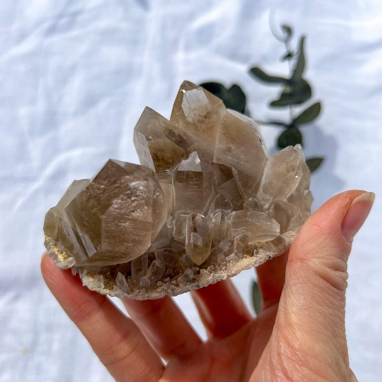 Golden Rutile Quartz Cluster