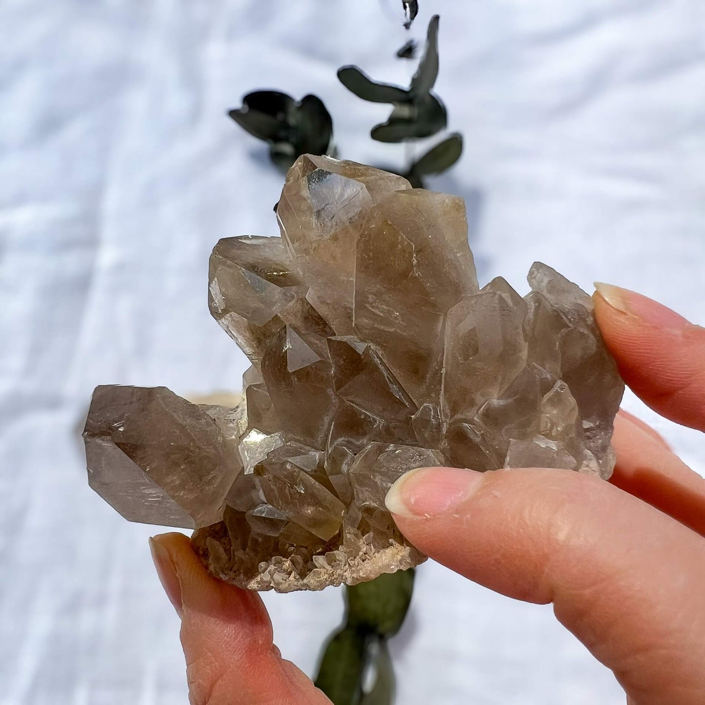 Golden Rutile Quartz Cluster