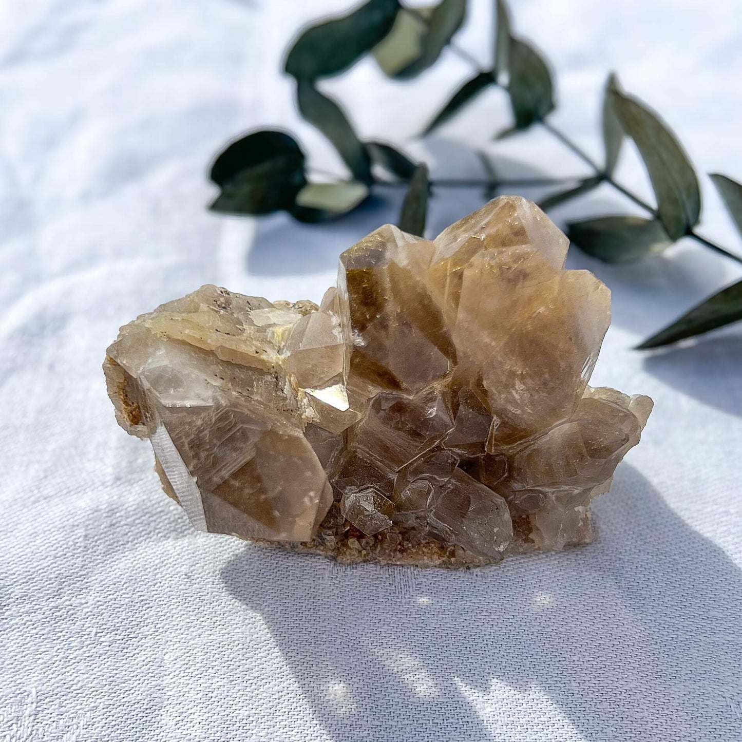 Golden Rutile Quartz Cluster