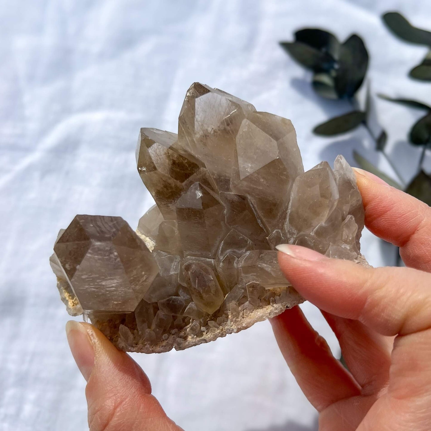 Golden Rutile Quartz Cluster