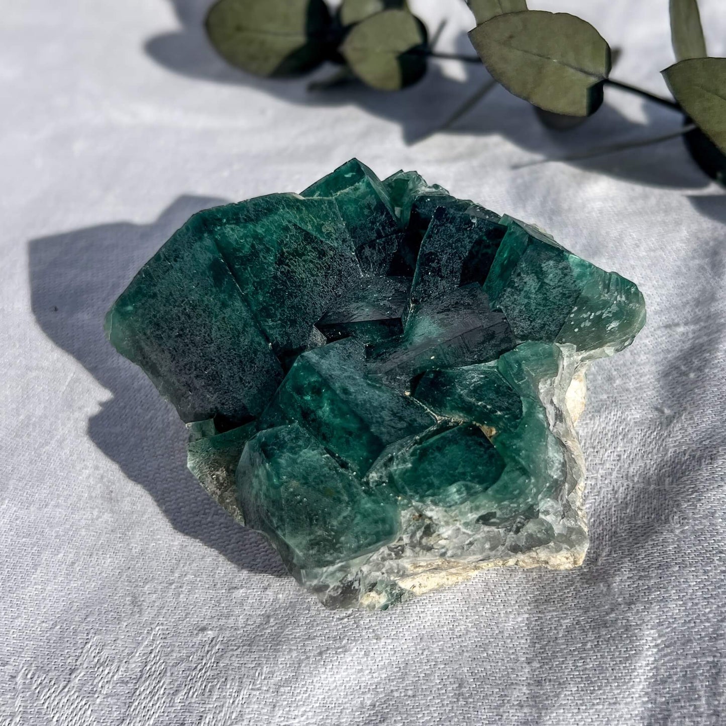 Fluorite Crystal Cluster - Green