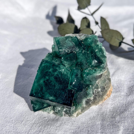 Fluorite Crystal Cluster - Green