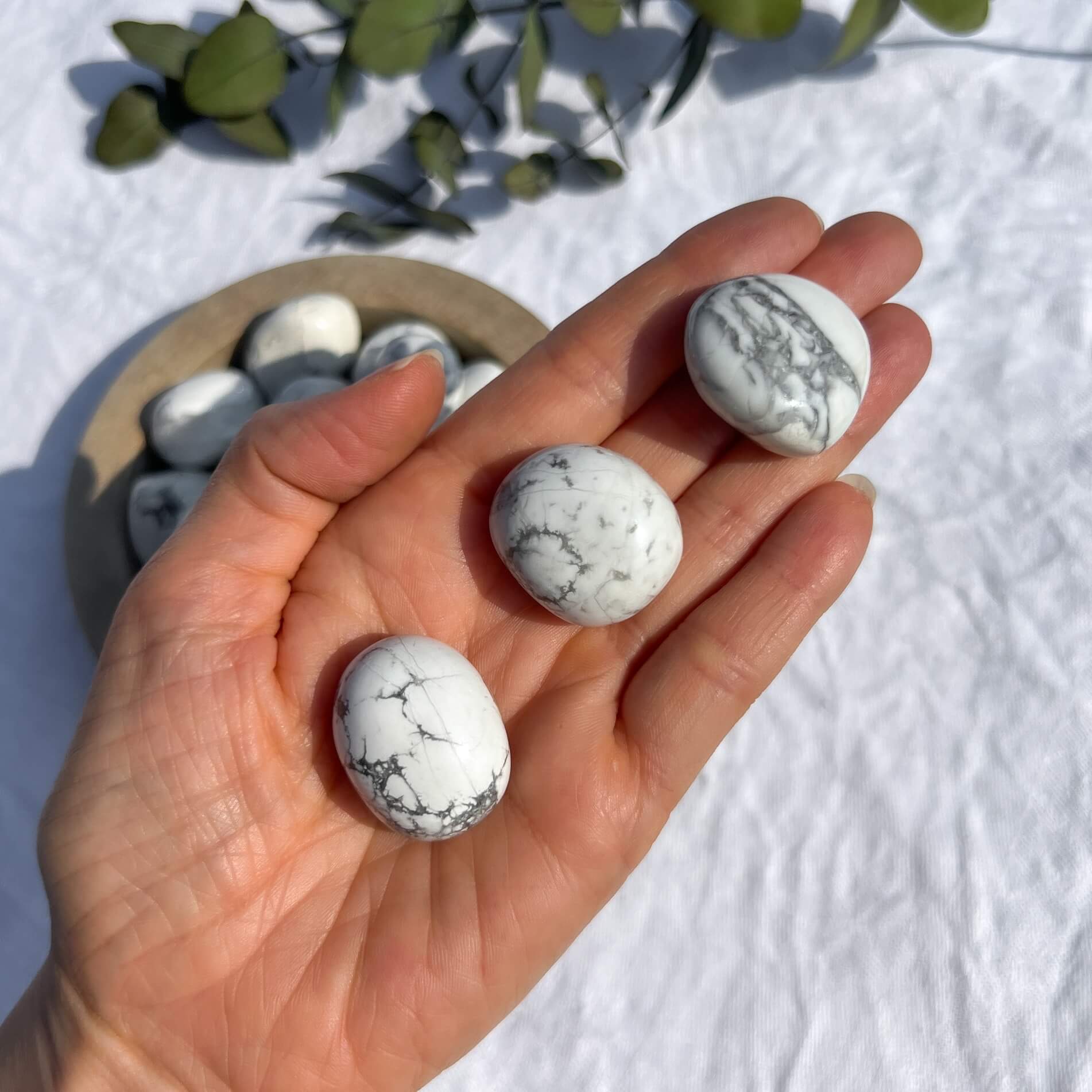 Howlite Crystal Pebble