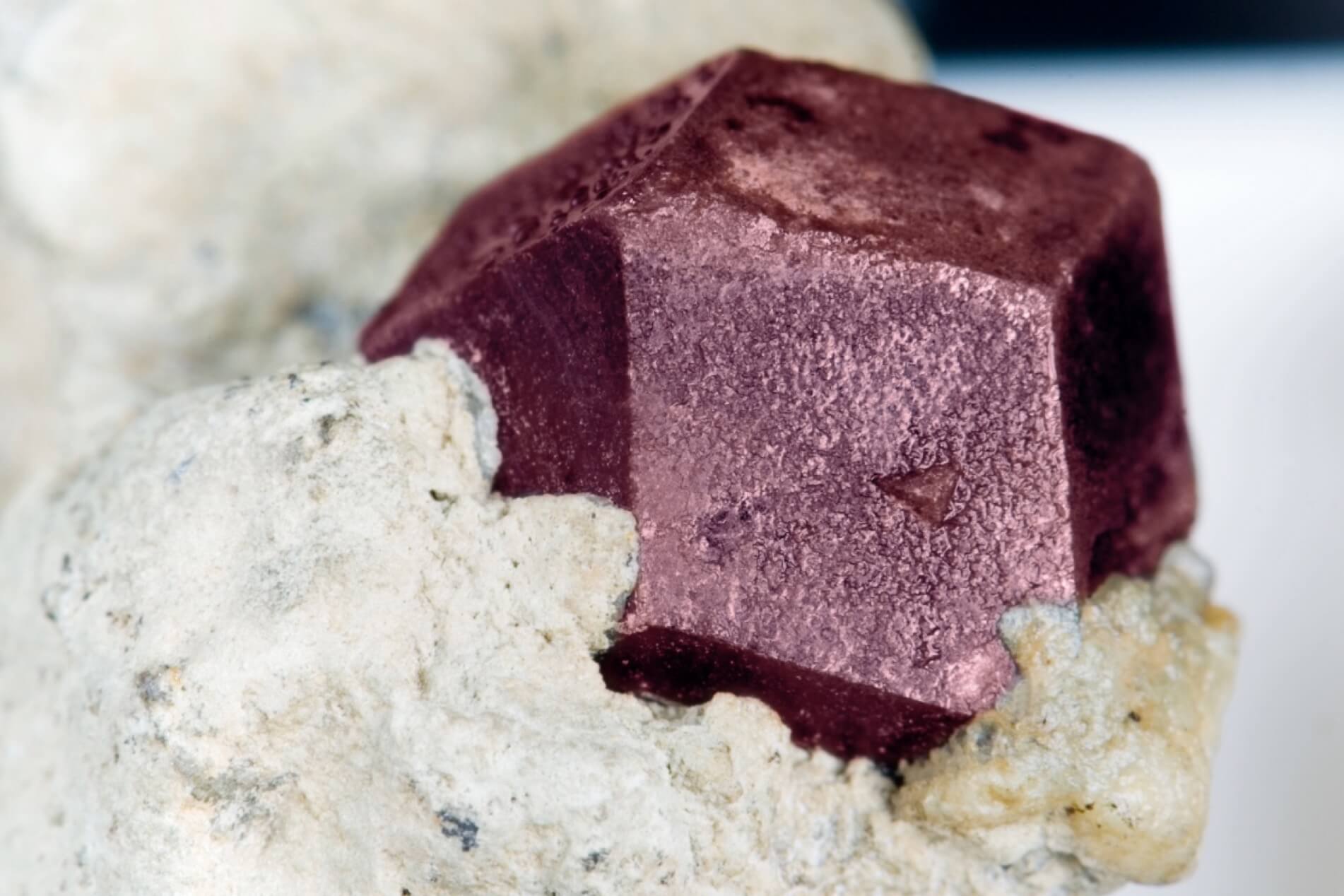 A close-up of a raw garnet gem attached to rough off-white matrix, photographed against a soft blurred light background.
