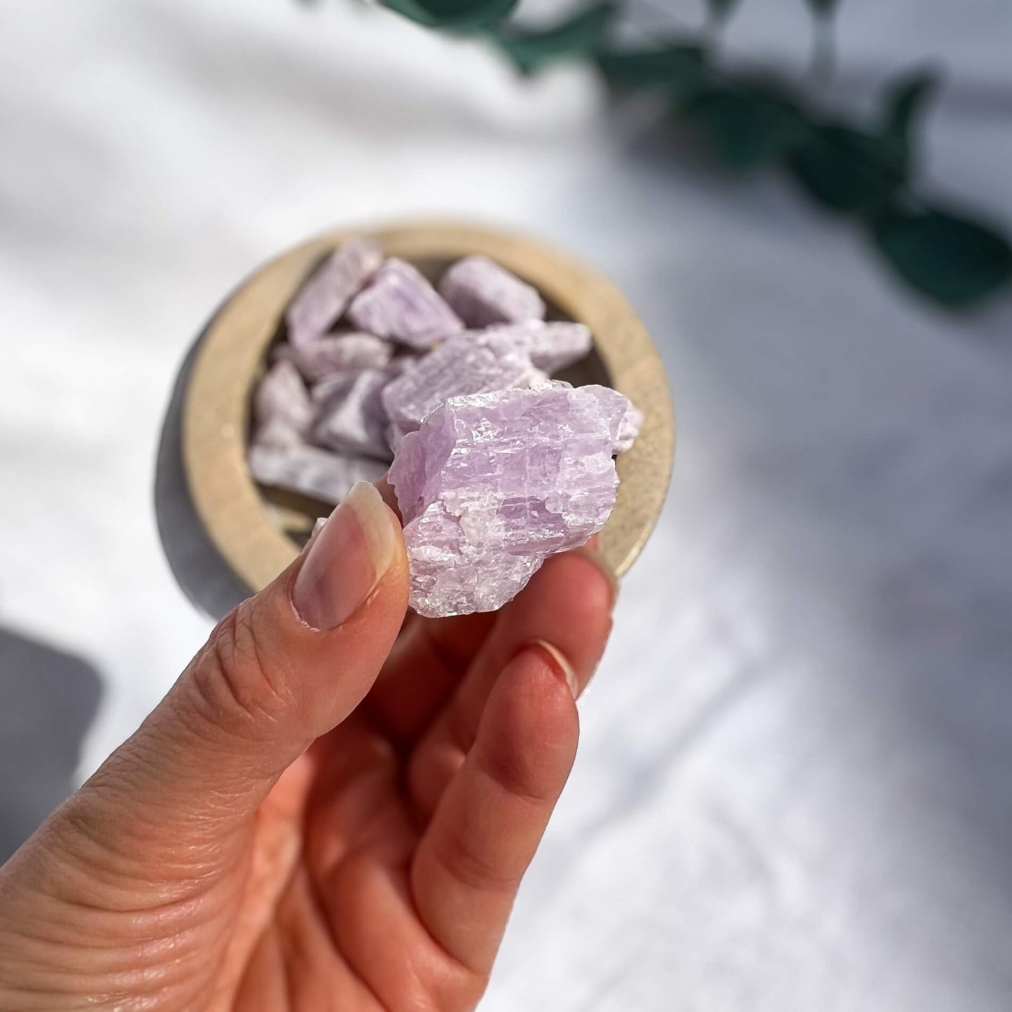 Kunzite Raw Crystal Pieces - Small