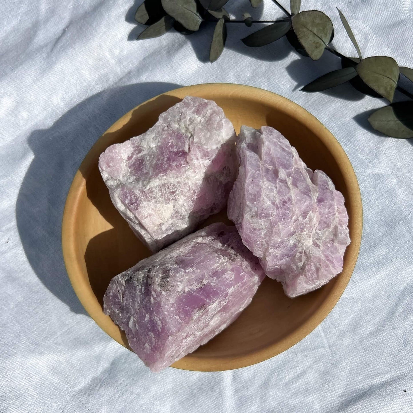 extra large lilac coloured raw kunzite crystal pieces in a wooden dish