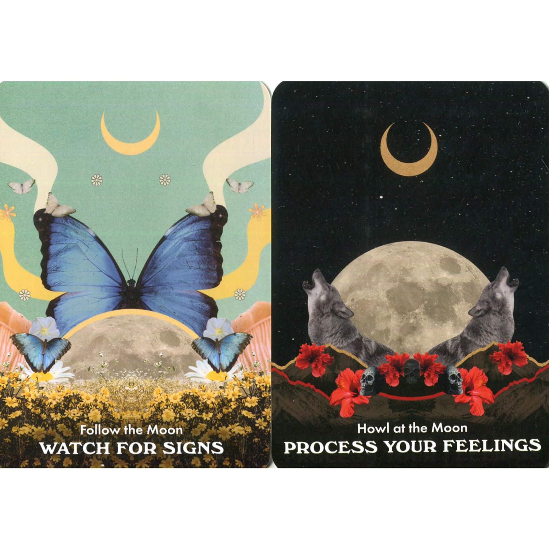 Two tarot cards with butterfly and moon design on one, and wolves and moon design on the other, against a white background.
