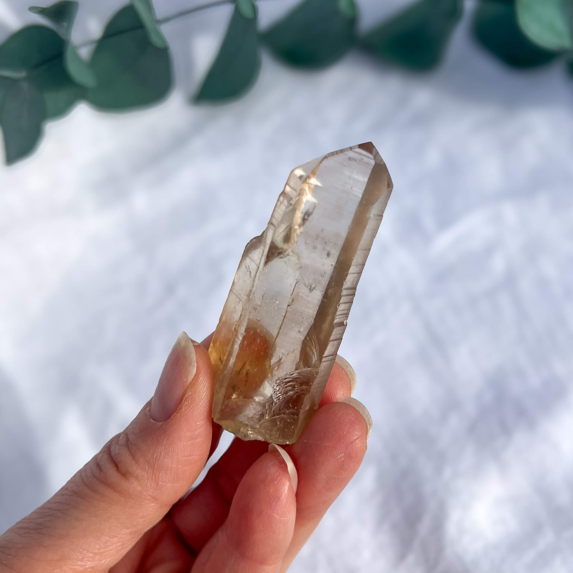 Natural Citrine Crystal Points