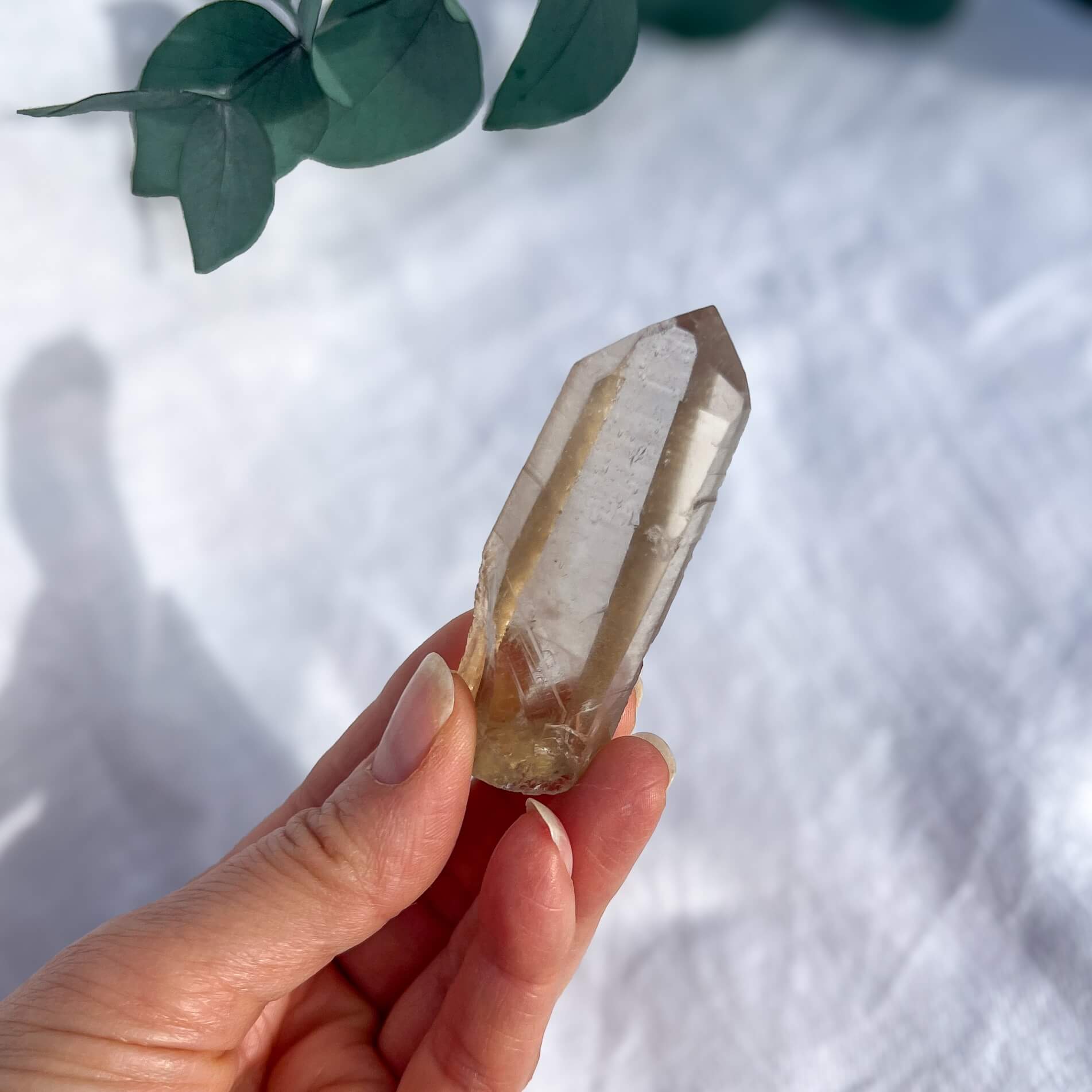 Natural Citrine Crystal Points