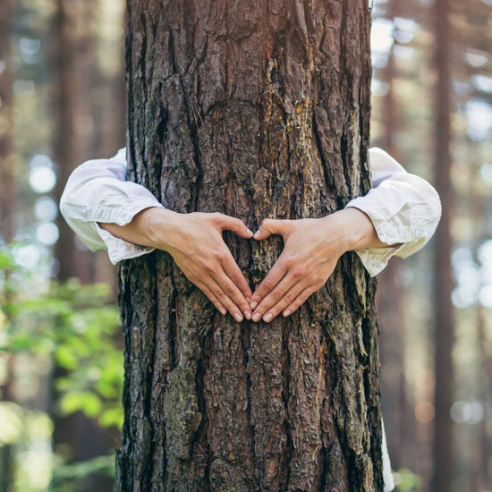 A man hugs a tree and creates a heart shape with his fingers on its bark
