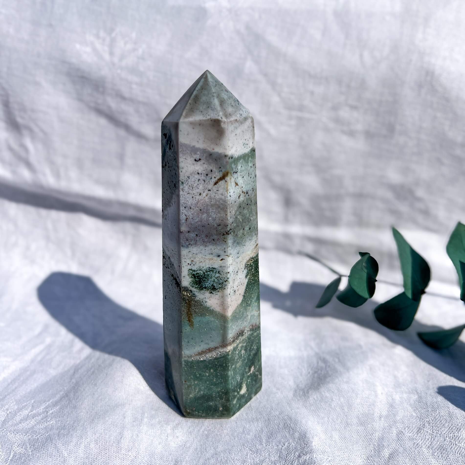 Ocean Jasper Tower B