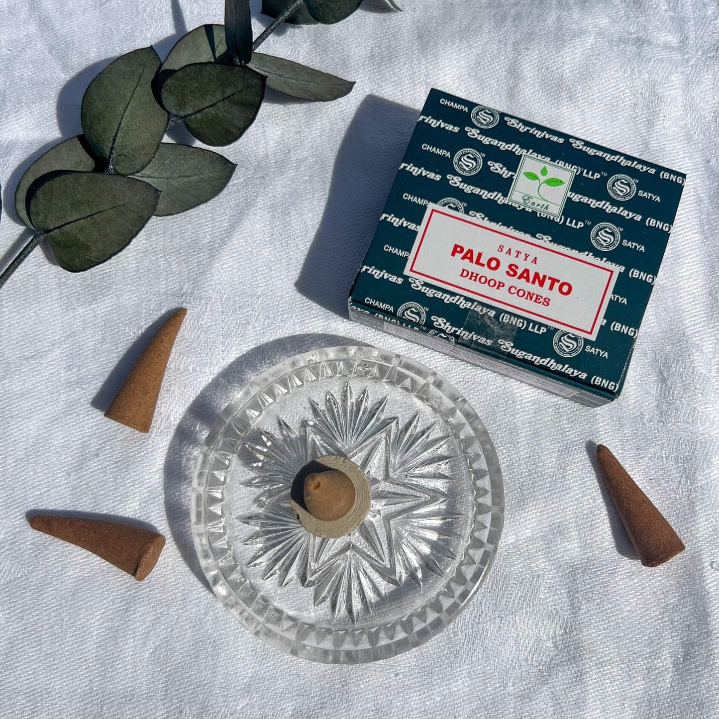 Palo Santo Incense Cones