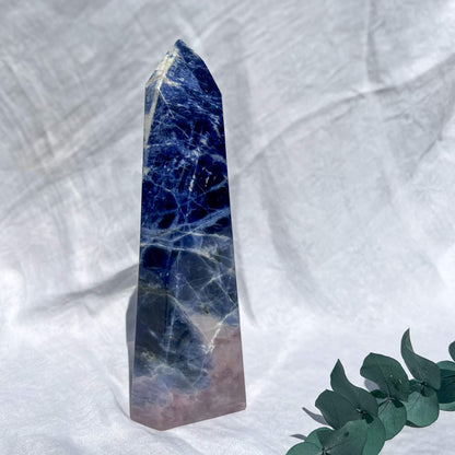 Blue marbled sodalite obelisk crystal with a pink base on a white background with green leaves