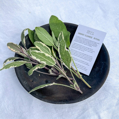Californian White Sage Smudge Bundle