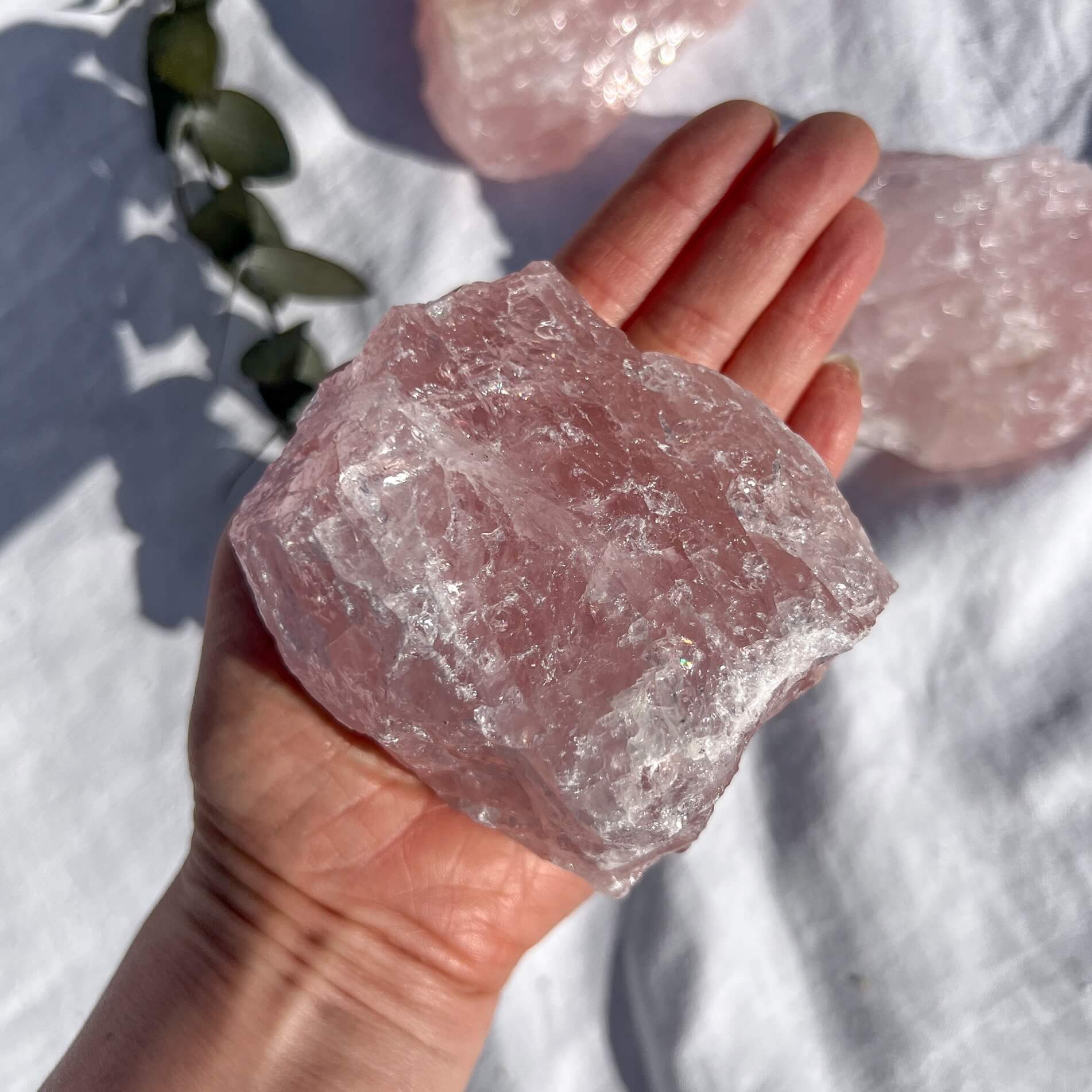 Rose Quartz Raw Crystal Pieces - XL