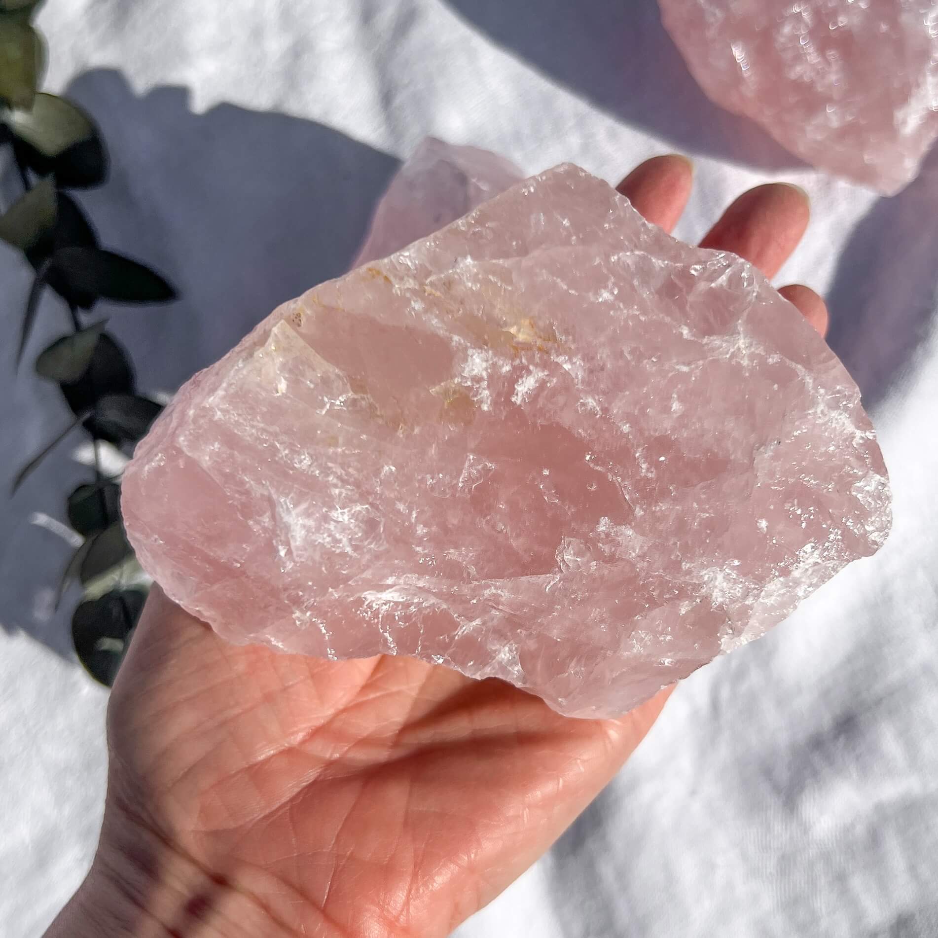 Rose Quartz Raw Crystal Pieces - XL
