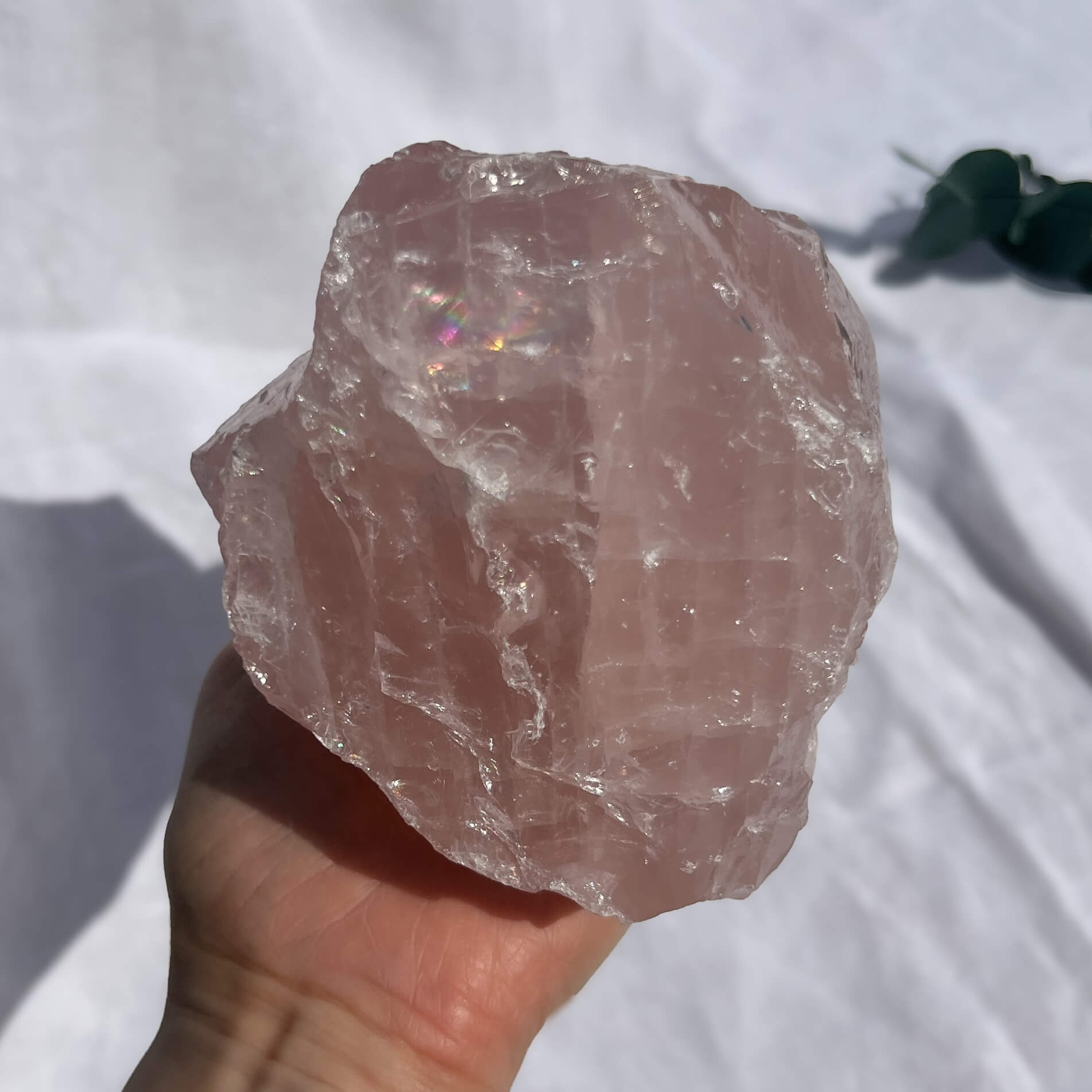 Rose Quartz Raw Display Crystal