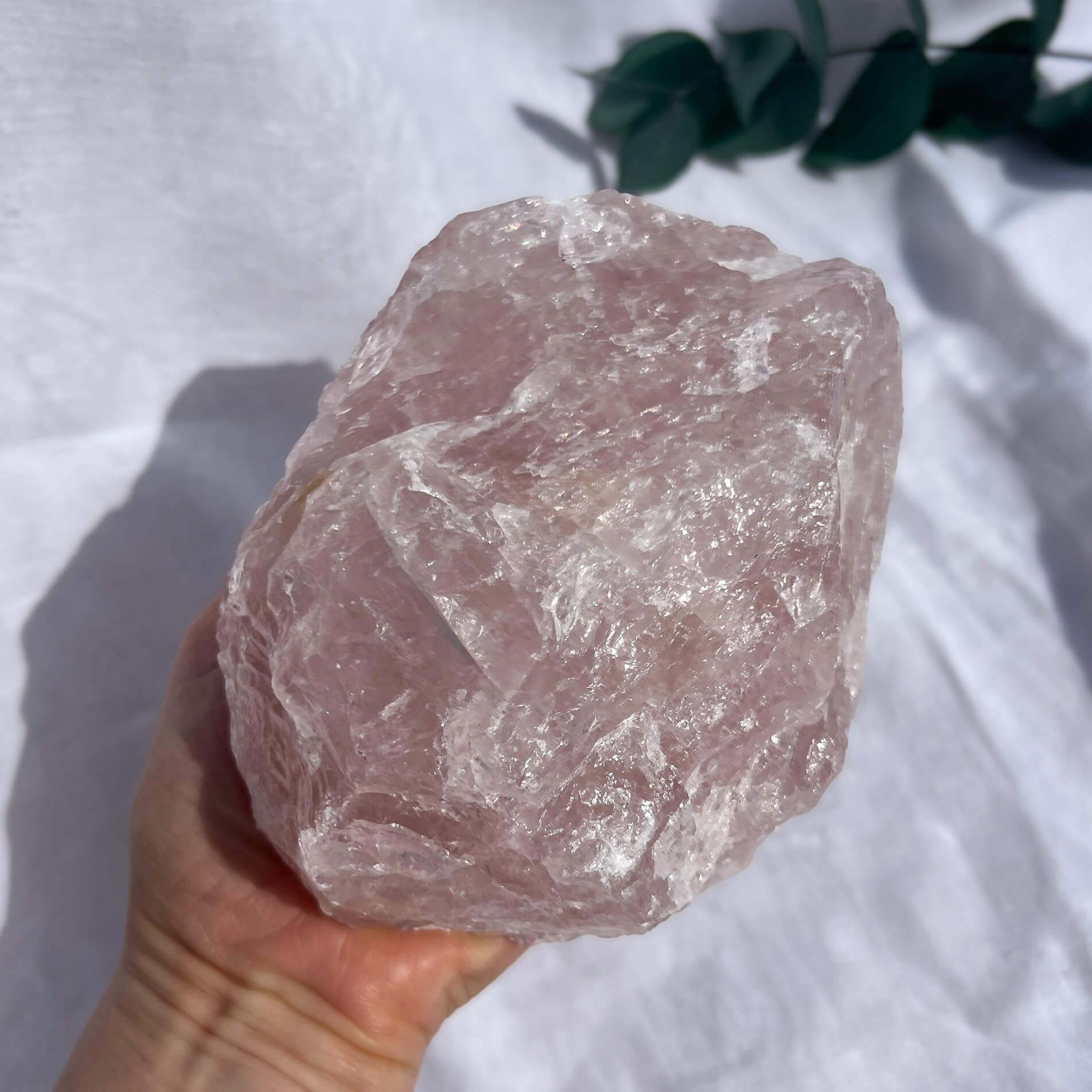 Rose Quartz Raw Display Crystal