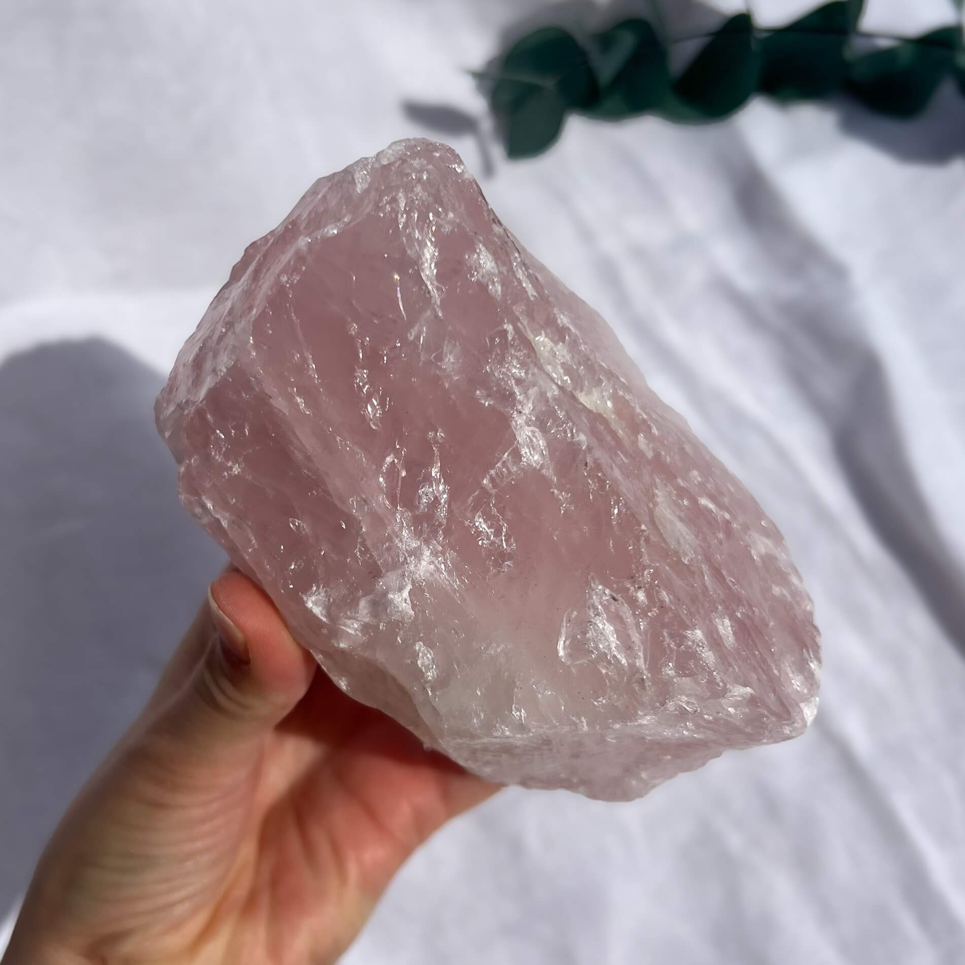 Rose Quartz Raw Display Crystal