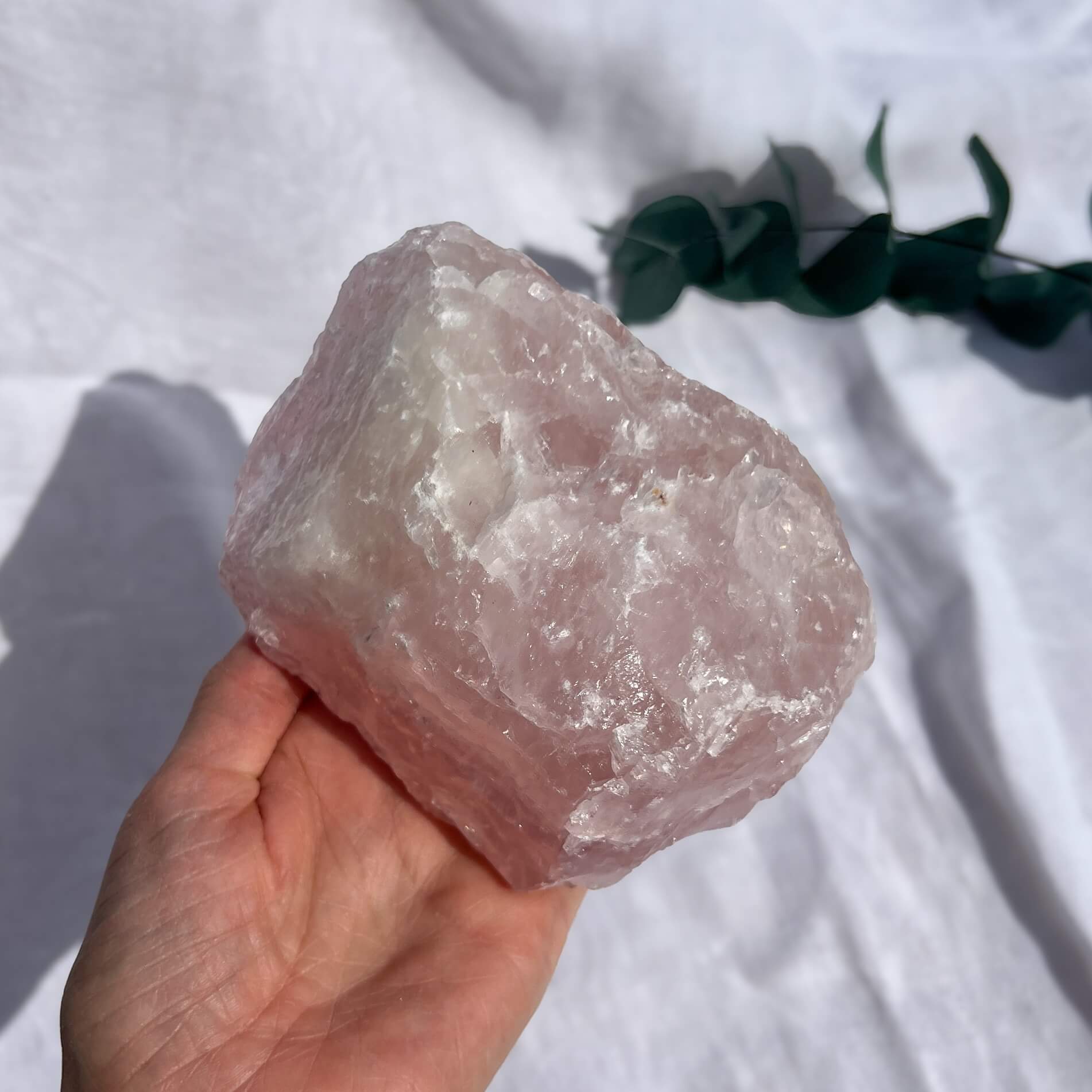 Rose Quartz Raw Display Crystal