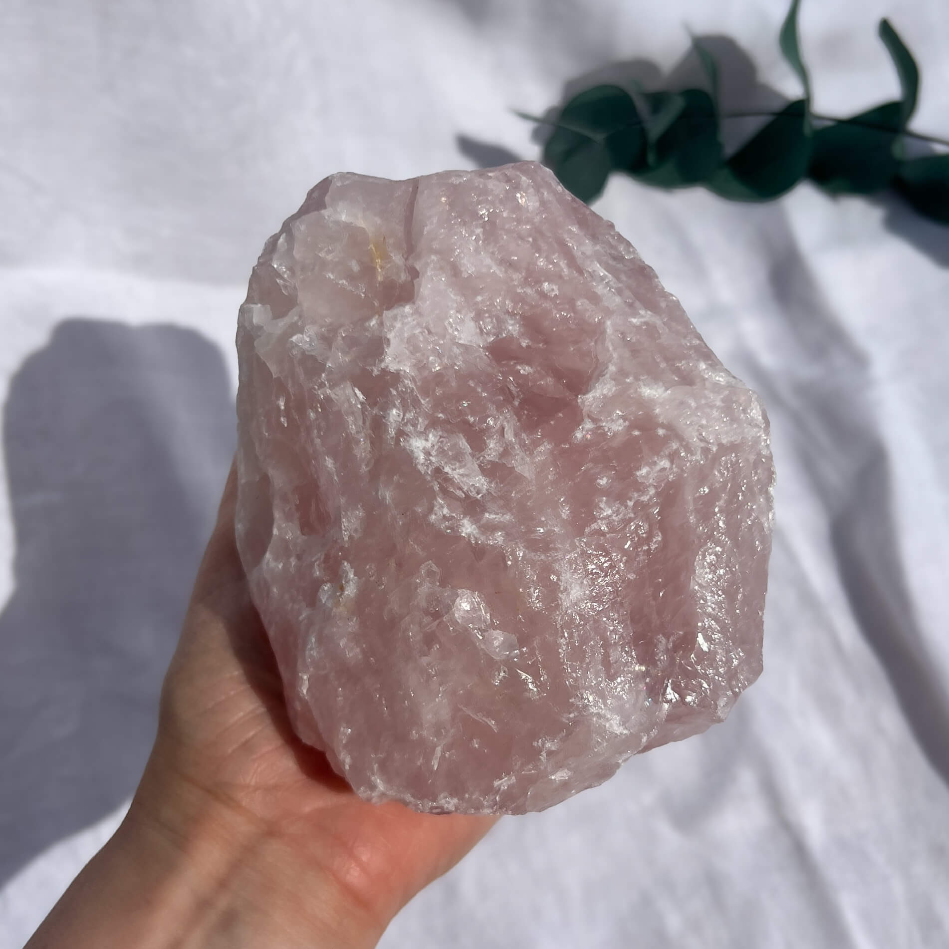 Rose Quartz Raw Display Crystal