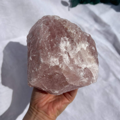 Rose Quartz Raw Display Crystal