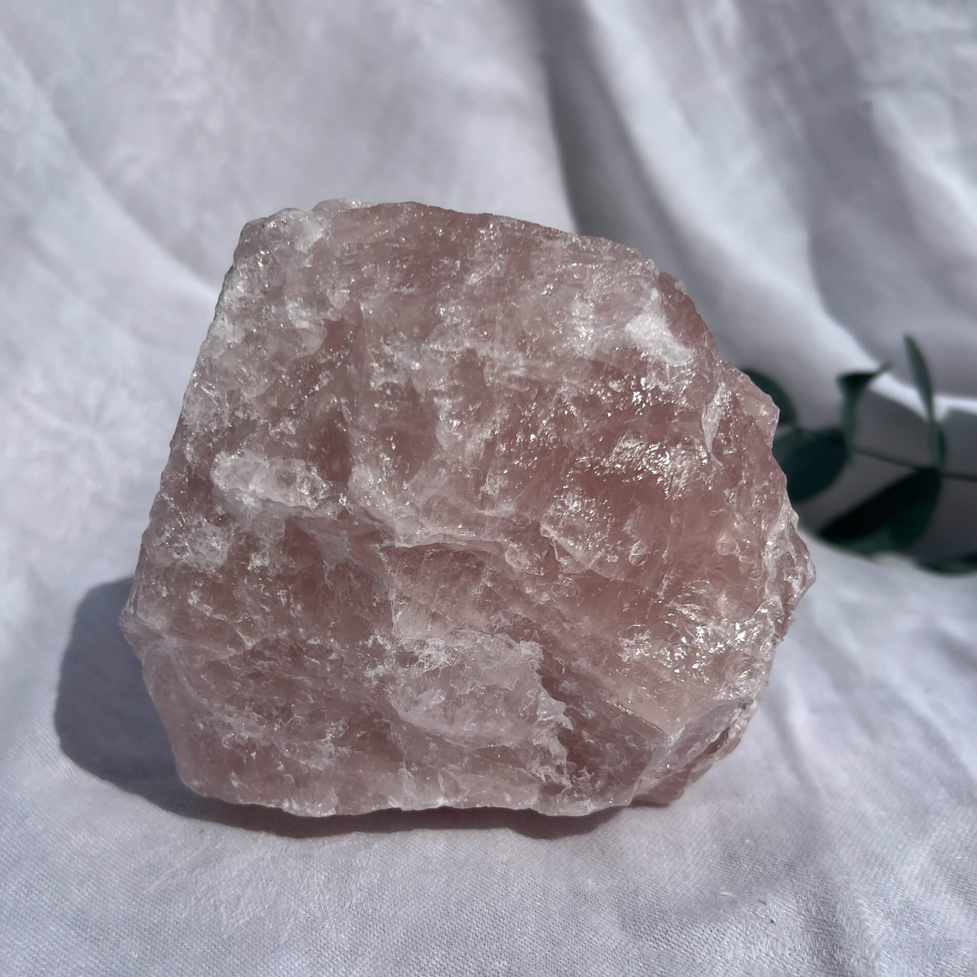 Rose Quartz Raw Display Crystal