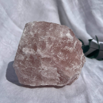 Rose Quartz Raw Display Crystal