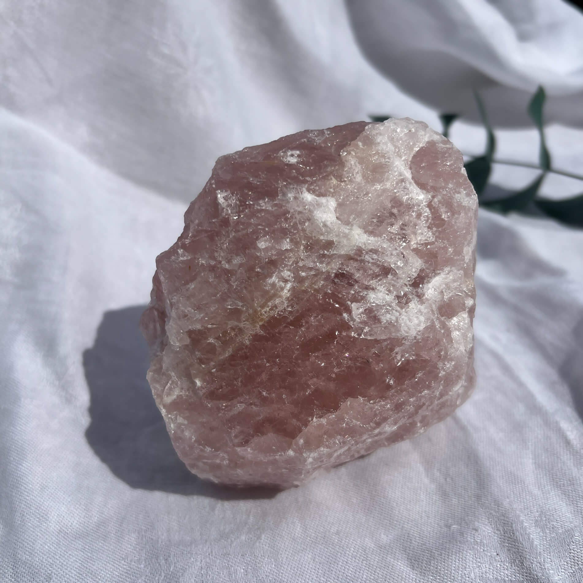 Rose Quartz Raw Display Crystal