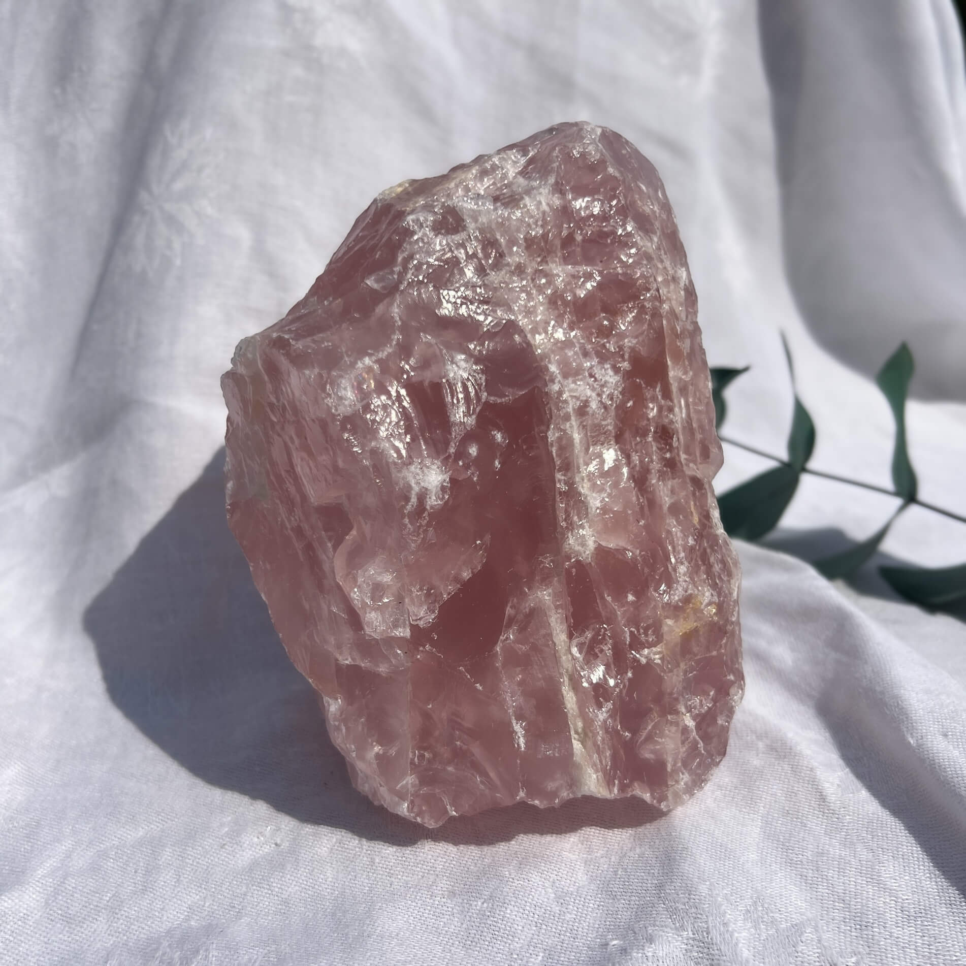 Rose Quartz Raw Display Crystal