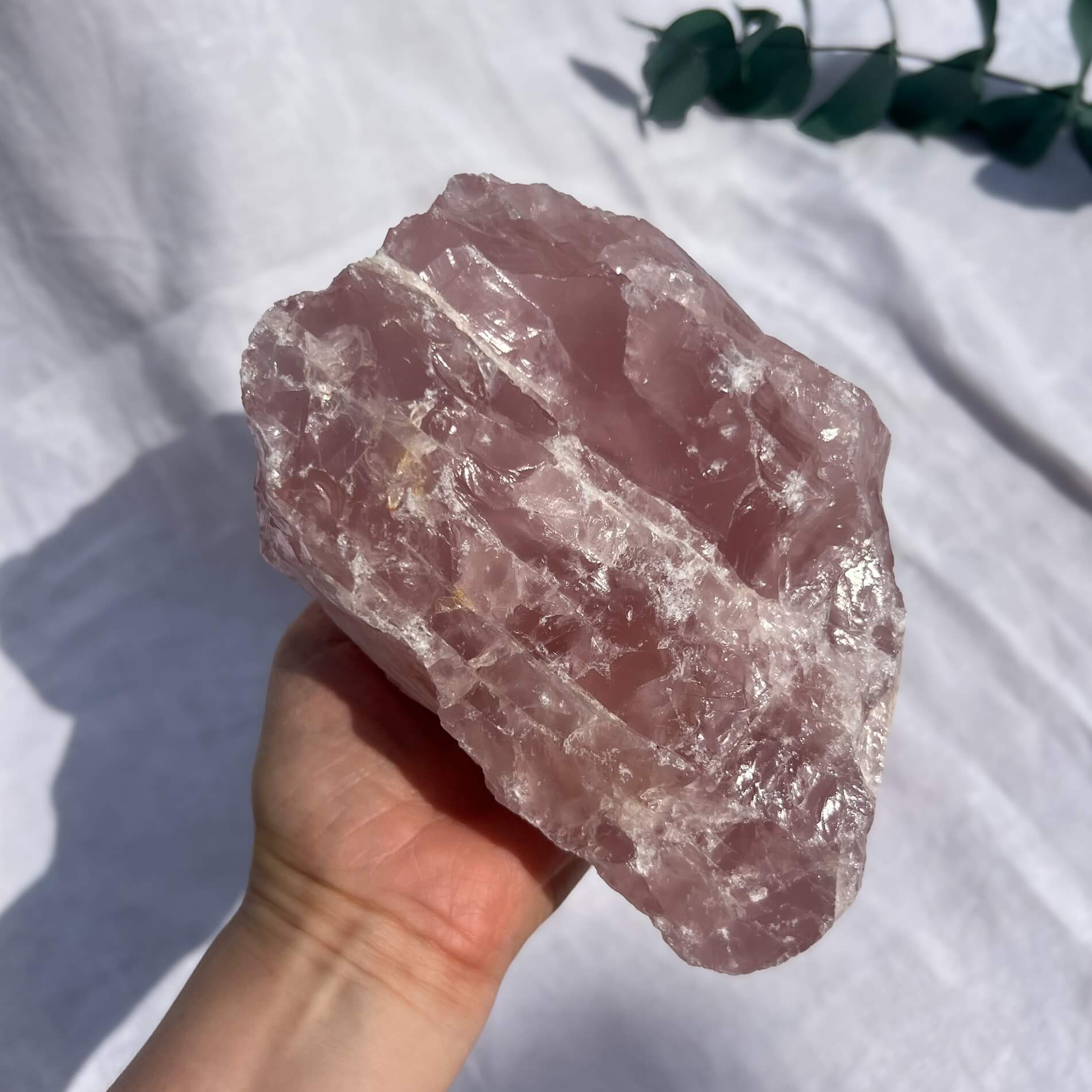 Rose Quartz Raw Display Crystal