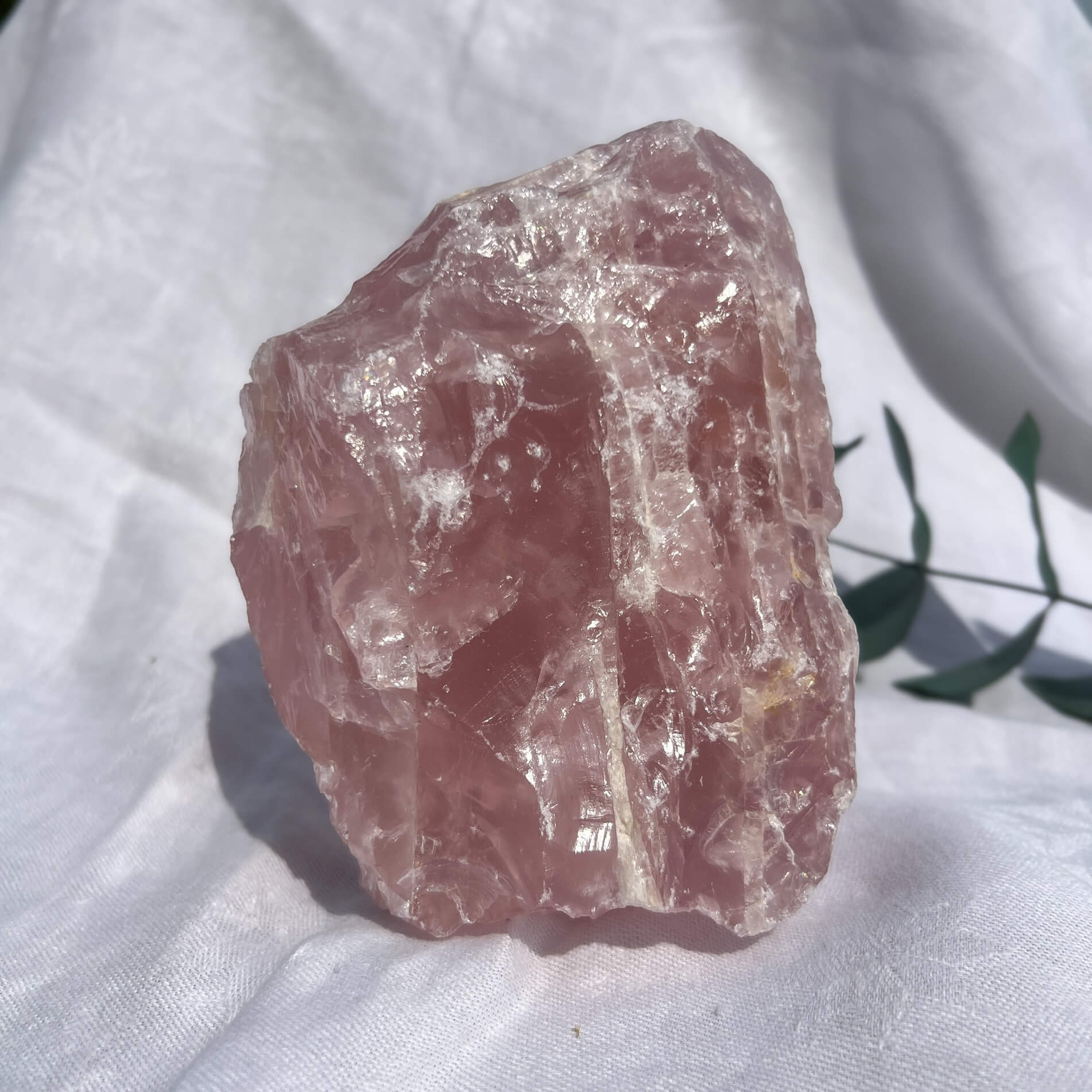 Rose Quartz Raw Display Crystal