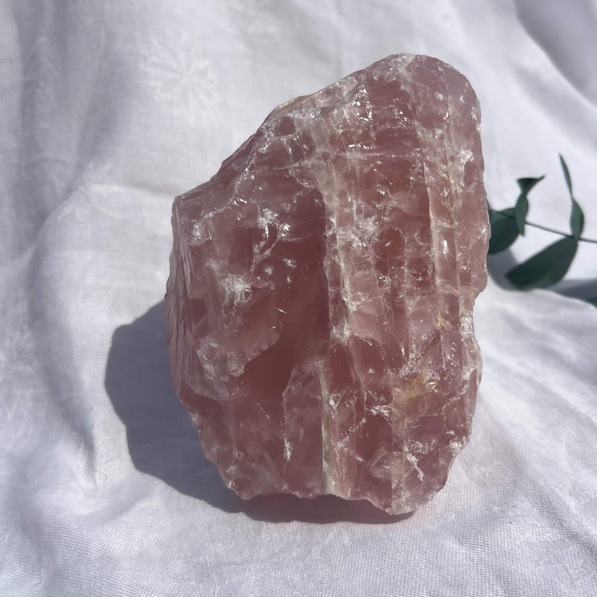 Rose Quartz Raw Display Crystal