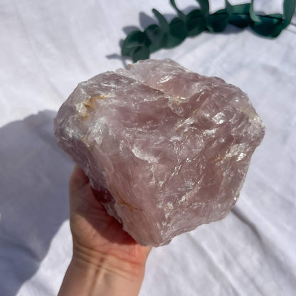 Rose Quartz Raw Display Crystal