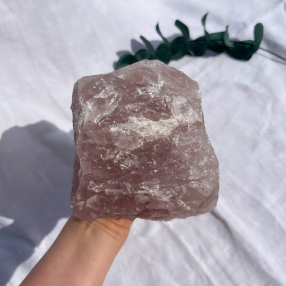 Rose Quartz Raw Display Crystal