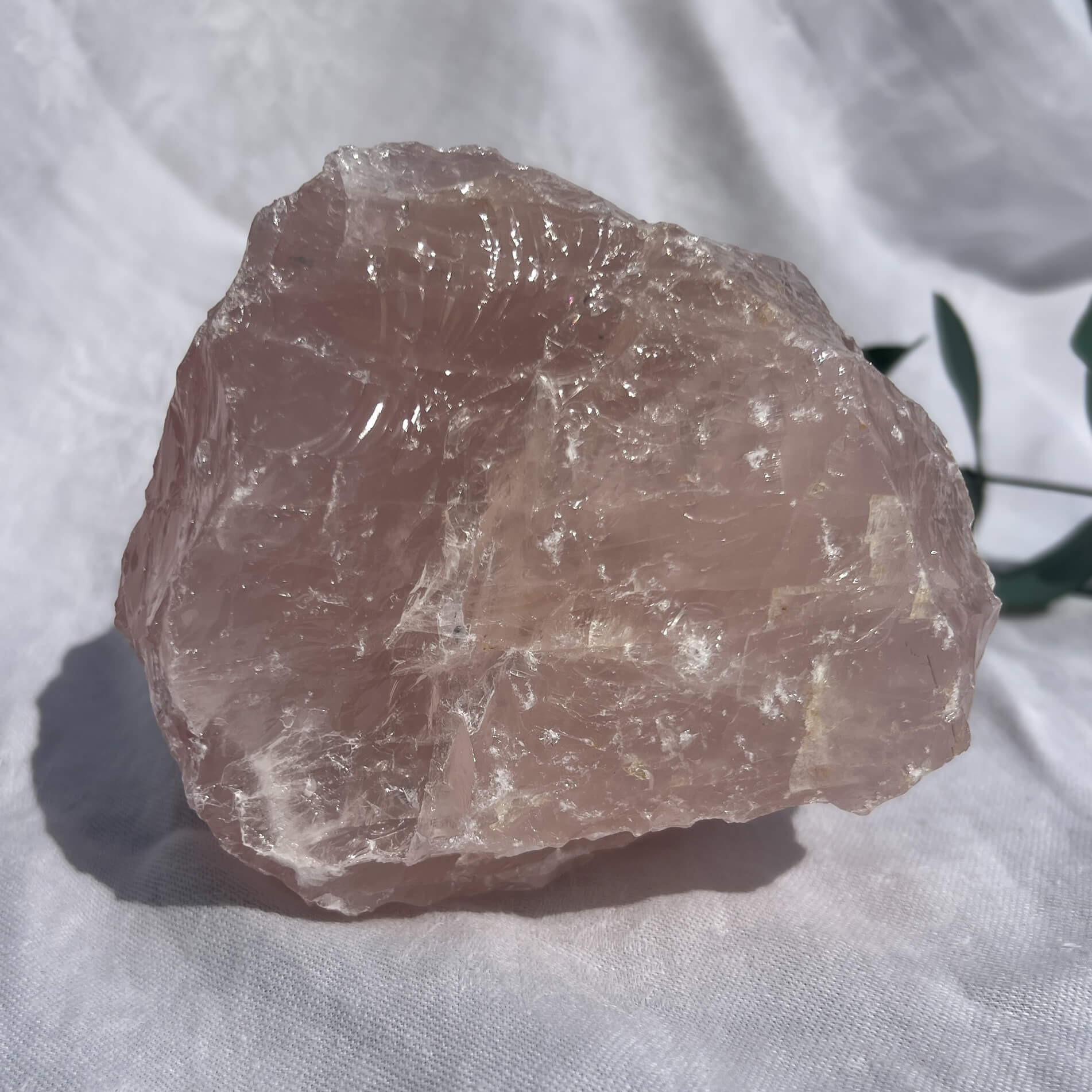Rose Quartz Raw Display Crystal