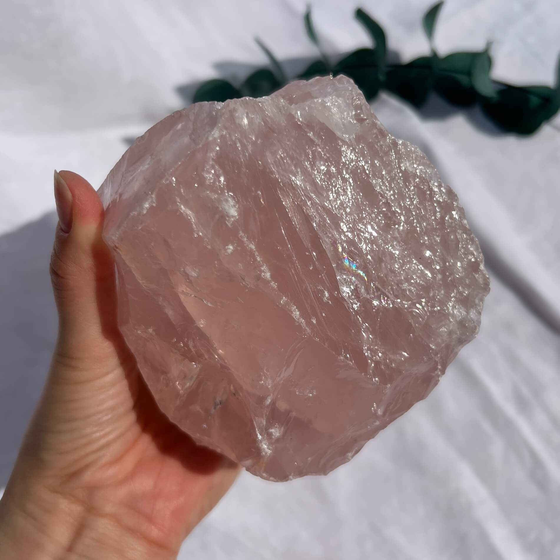 Rose Quartz Raw Display Crystal