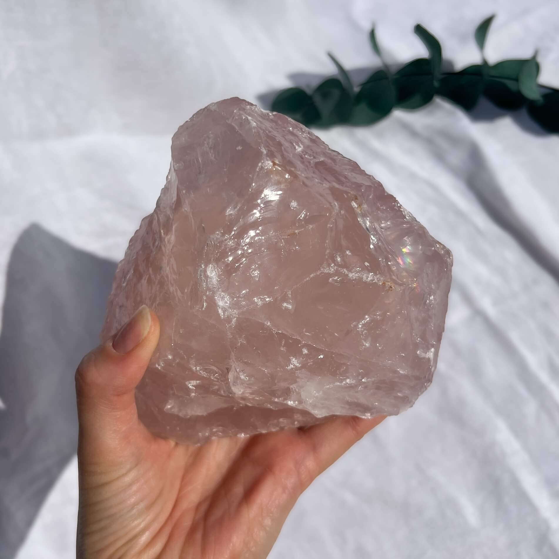 Rose Quartz Raw Display Crystal
