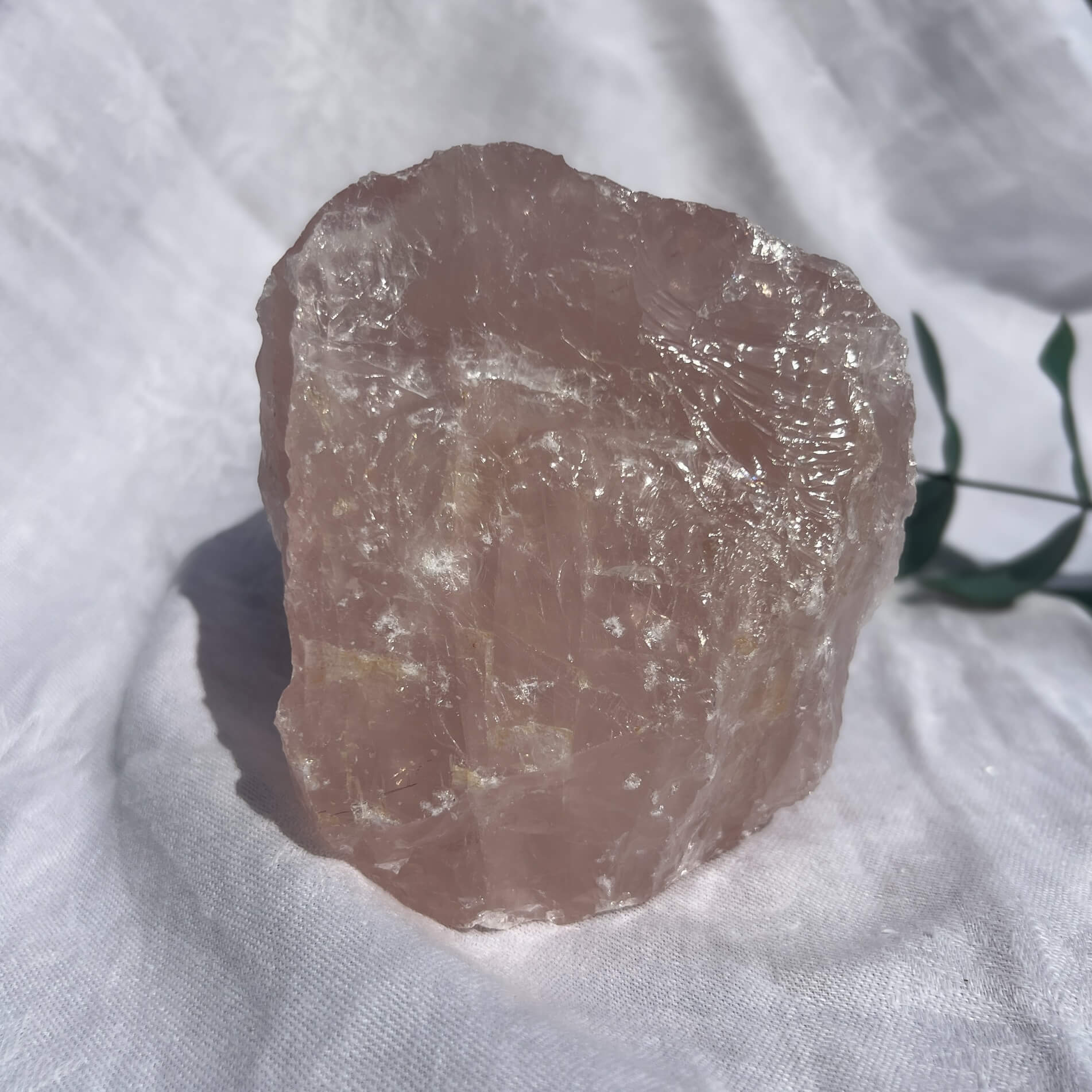Rose Quartz Raw Display Crystal