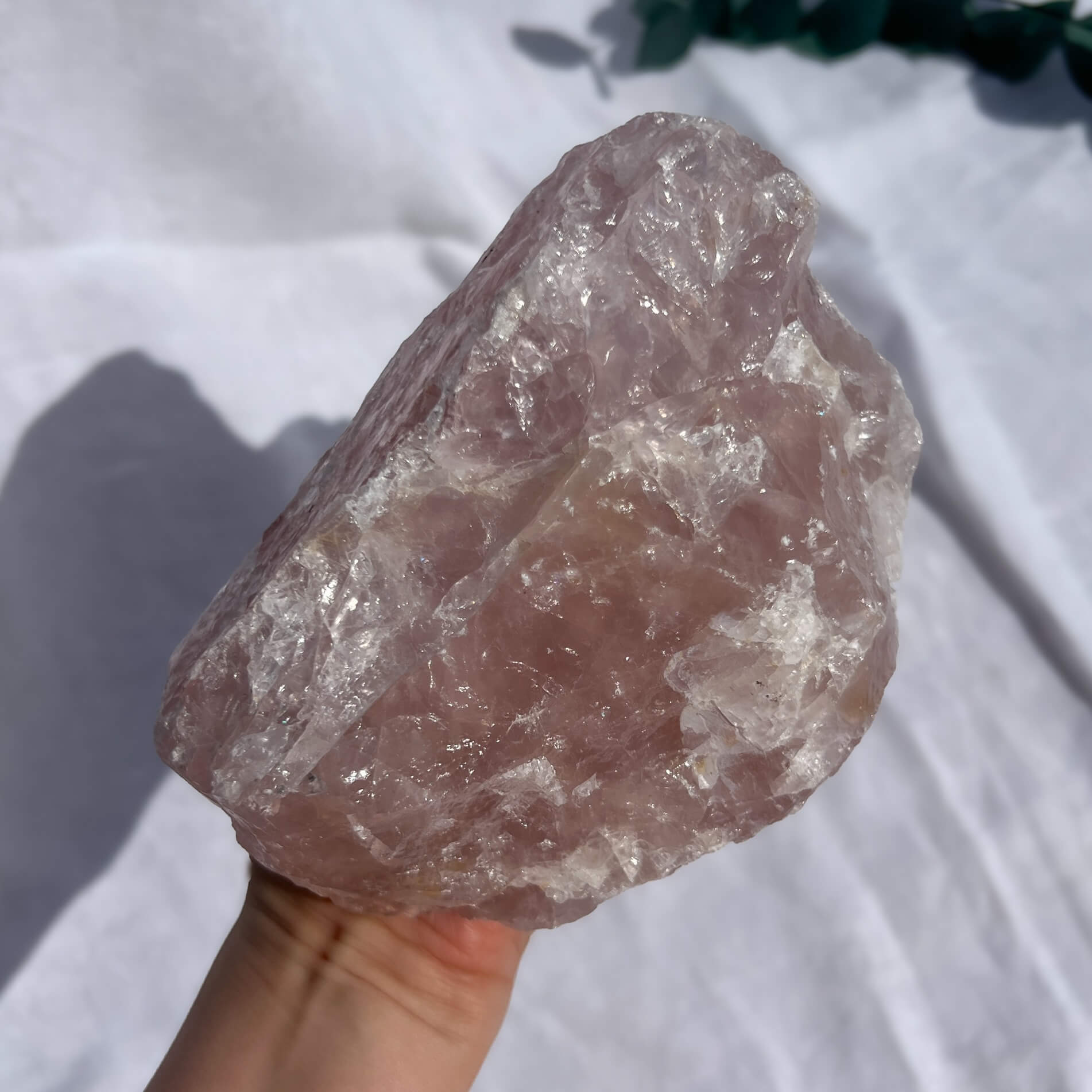 Rose Quartz Raw Display Crystal